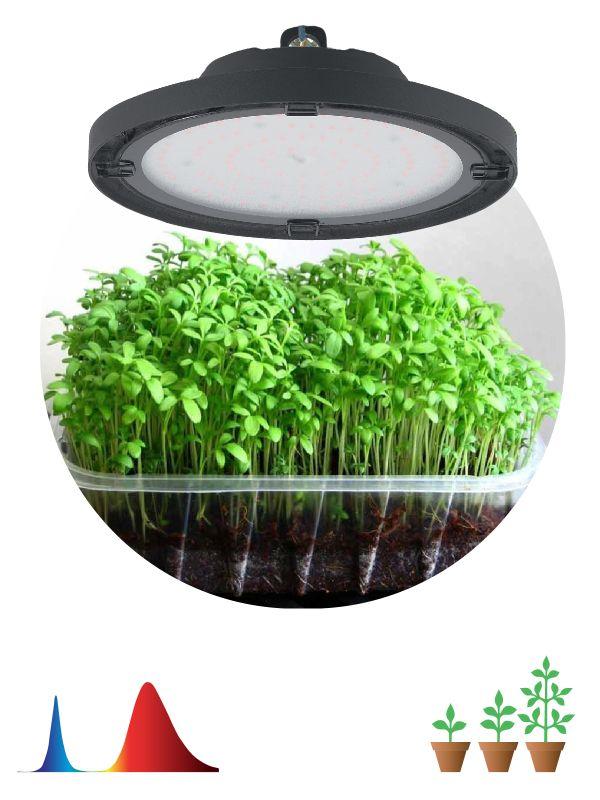 прожектор светодиодный fito-50w-rb-led-ufo 50вт для растений красн./син. спектр ip65 эра б0053280 от BTSprom.by