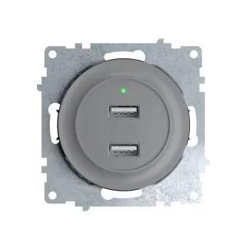 розетка usb 2-м сп florence 16а ip20 с подсветкой механизм сер. (1e10351302) onekeyelectro 2260091 от BTSprom.by