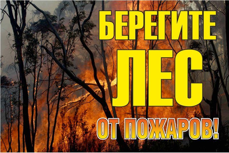 знак "берегите лес от огня!" 1200х800мм ekf zn-1-02 от BTSprom.by