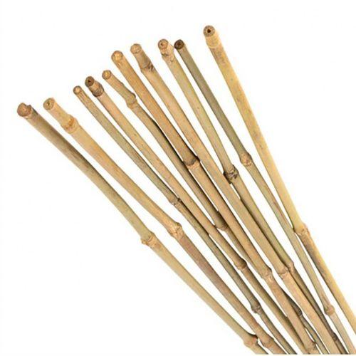  Поддержка для растений 120см d8мм бамбук (уп.5шт) (20/480) Green Apple Б0010278 фото в каталоге от BTSprom.by