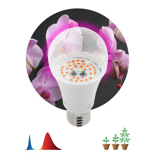 Лампа светодиодная FITO-14W-RB-E27 14Вт E27 для растений красн./син. спектр Эра Б0050602 фото в каталоге от BTSprom.by