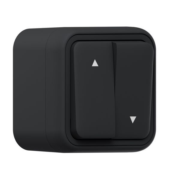 выключатель для жалюзи оп бронто винтовые клеммы антрацит ekf bt1-swa-25 от BTSprom.by