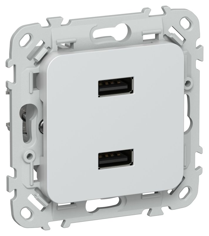 розетка usb aa сп flite рю-2-флж 2.1а механизм жемчуж. iek fi-u21-d31-k36 от BTSprom.by