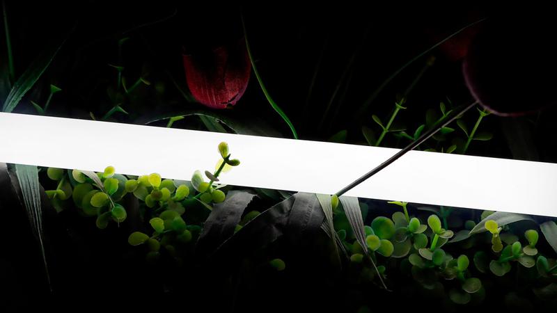 лента светодиодная неоновая 2835 360град. led/м 16 вт/м 24в ip66 нейтр. бел. (уп.5м) swg pro 00-00013284 от BTSprom.by
