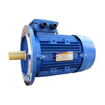 электродвигатель 5аи 100 s4 3/1500 im3081 элком 01.01.213507 от BTSprom.by