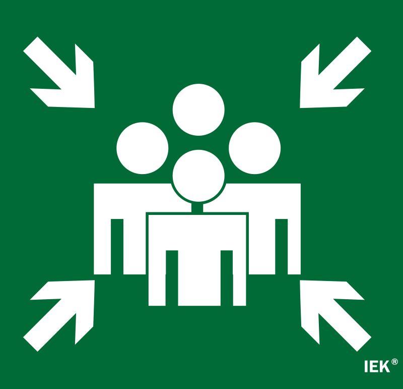 этикетка самоклеящаяся 310х280мм "место сбора" iek lpc10-1-31-28-msts от BTSprom.by