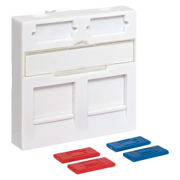  Вставка розеточная 45х45мм формат Mosaic на 2 модуля Keystone защ. шторки с маркерами бел. TERACOM PRO EKF TRP-INS-MOS-2M2P-WH фото в каталоге от BTSprom.by