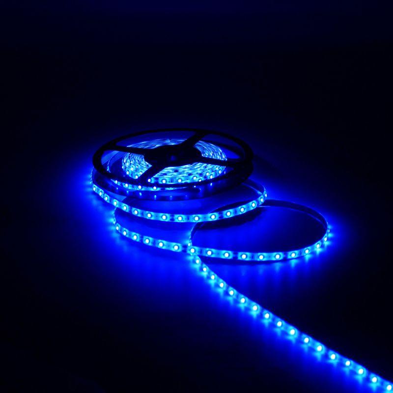  Лента светодиодная Black 2835/60-SMD 4.8Вт/м син. IP66 210лм/м 12В (блист.5м) GAUSS 311000505 фото в каталоге от BTSprom.by