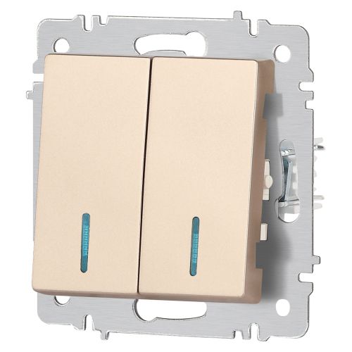  Выключатель 2-кл. СП Accent 6-105-04 10А IP20 250В с подсветкой AL/CU шампань Intro Б0063513 фото в каталоге от BTSprom.by