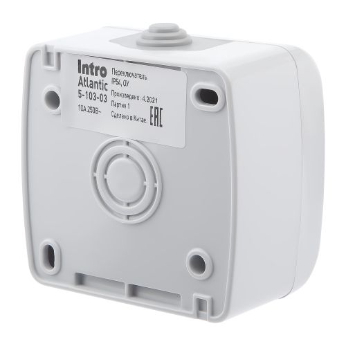  Переключатель 1-кл. ОП Atlantic 5-103-03 10А 250В IP54 сер. Intro Б0050942 фото в каталоге от BTSprom.by