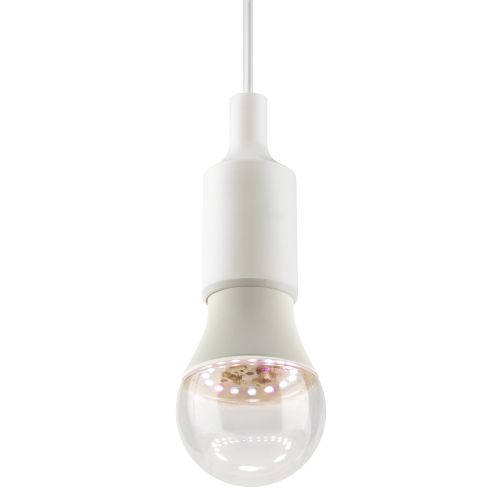 Лампа светодиодная GREEN LINE ФИТО А60-15W-PFR-E27-GR 15Вт E27 для растений полного спектра Эра Б0064527 фото в каталоге от BTSprom.by