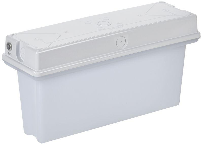 светильник светодиодный сса1010 1ч ip65 аварийный универс. iek lssa0-1010-1-65-k01 от BTSprom.by