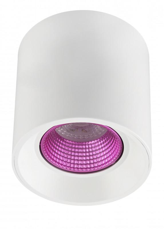 светильник накладной ip20 10вт gu5.3 led бел./роз. пластик denkirs dk3090-wh+pi от BTSprom.by