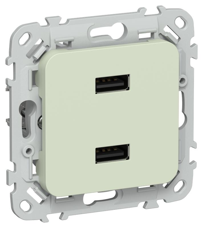 розетка usb сп flite рю-2-флп aa 2.1а механизм панг iek fi-u21-d31-k92 от BTSprom.by