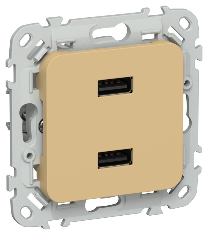 розетка usb сп flite рю-2-флшм aa 2.1а механизм шамуа iek fi-u21-d31-k89 от BTSprom.by