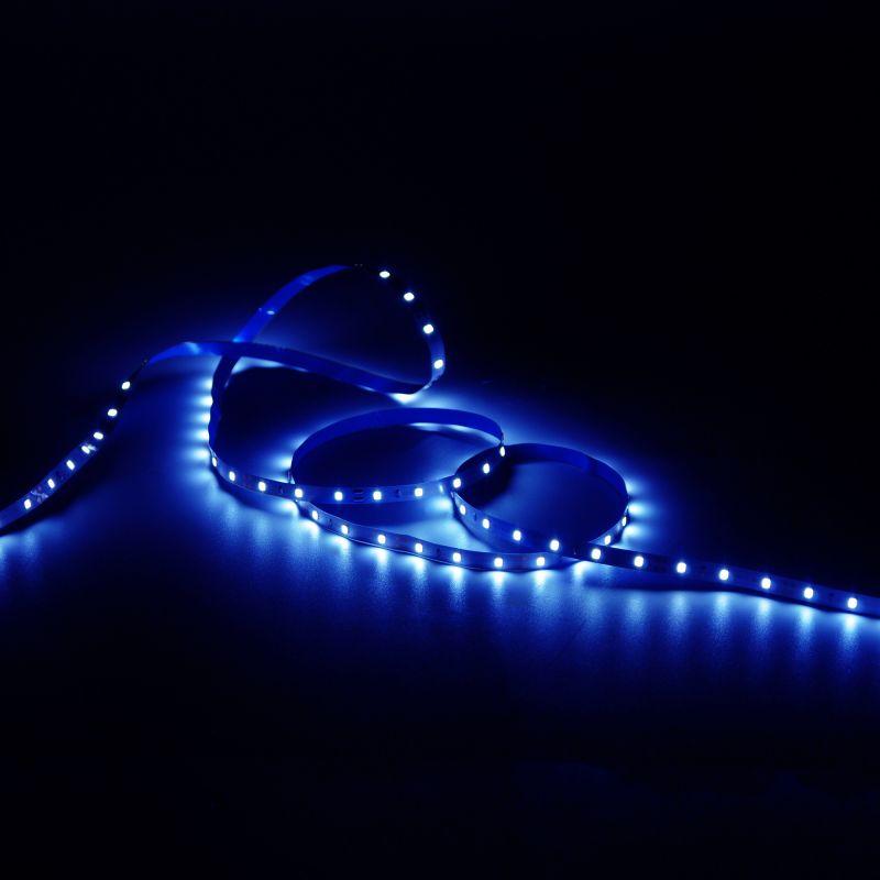  Лента светодиодная Elementary 2835/60-SMD 4.8Вт/м син. IP20 210лм/м 12В 8мм (уп.5м) GAUSS 355000505 фото в каталоге от BTSprom.by