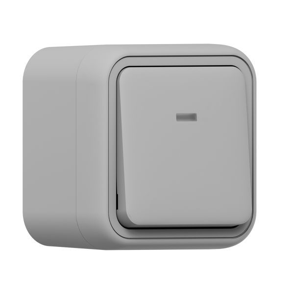 выключатель проходной 1-кл. оп бронто с подсветкой автоматические клеммы сер. ekf bt1-swg-16 от BTSprom.by