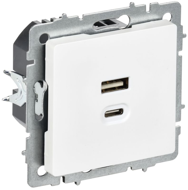 розетка сп brite рю11-2-браб usb a+c 45вт высокоскор. заряд. арктич. бел. iek br-u22-045-k91 от BTSprom.by