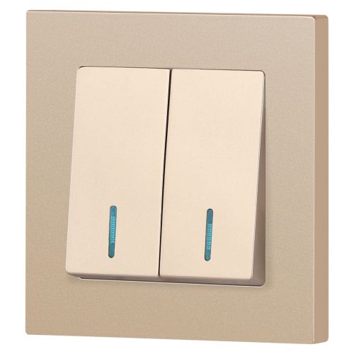  Выключатель 2-кл. СП Accent 6-105-04 10А IP20 250В с подсветкой AL/CU шампань Intro Б0063513 фото в каталоге от BTSprom.by