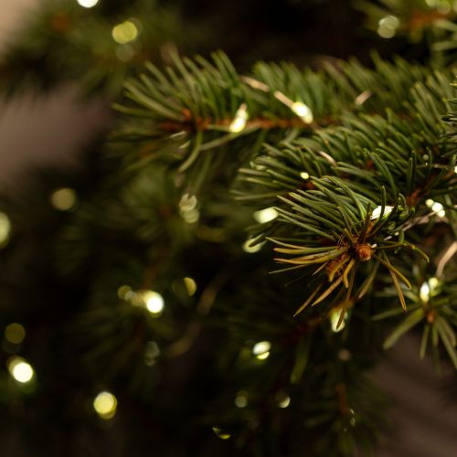  Гирлянда светодиодная "Нить" 10м 100microLED тепл. бел. IP20 Holiday INNR-01Zт Intro Б0060441 фото в каталоге от BTSprom.by