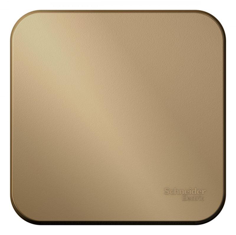  Выключатель 1-кл. ОП Blanca 10А IP20 (сх. 1) с самовозвратом с изолир. пластиной титан SE BLNCA101014 фото в каталоге от BTSprom.by