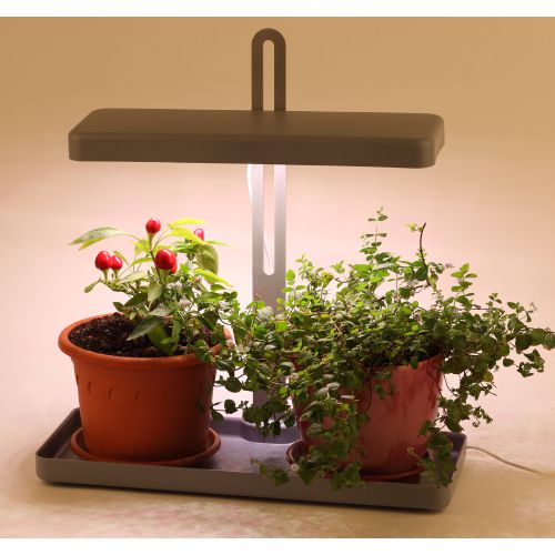  Светильник для растений FITO-20W-QLED-G 20Вт 220-240В 3500К IP40 +1град. до +35град.C 30000ч настол. ЭРА Б0039035 фото в каталоге от BTSprom.by