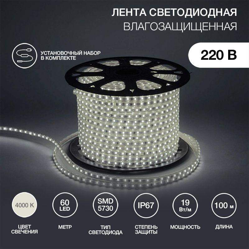 Лента светодиодная SMD5730 6.5x13мм 60LED/м 220В IP67 бел. (уп.100м) Neon-Night 142-701 фото в каталоге от BTSprom.by  Лента светодиодная SMD5730 6.5x13мм 60LED/м 220В IP67 бел. (уп.100м) Neon-Night 142-701 фото в каталоге от BTSprom.by