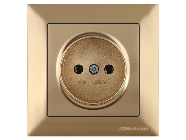 розетка 1-ая (скрытая, б/з) золото, daria, mutlusan (10 a, 250 v, ip 20) 2120 601 0280 от BTSprom.by