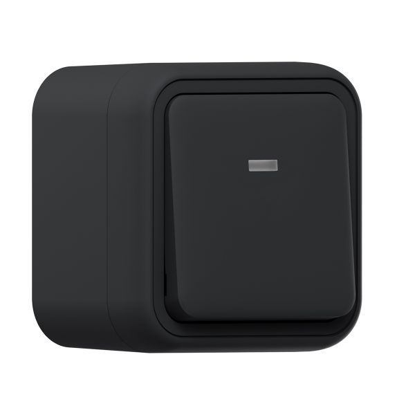 выключатель проходной 1-кл. оп бронто с подсветкой автоматические клеммы антрацит ekf bt1-swa-16 от BTSprom.by