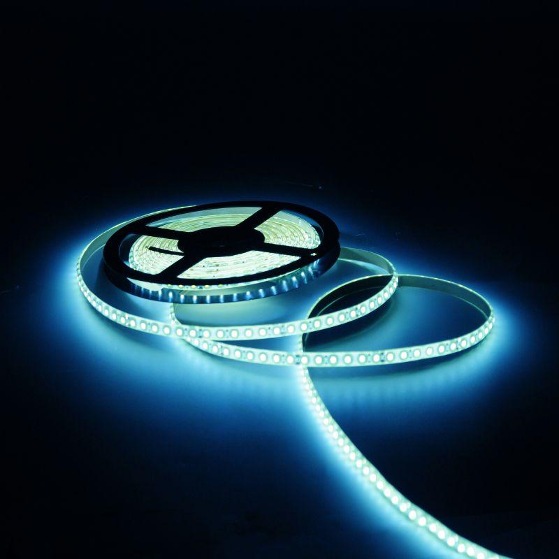  Лента светодиодная Elementary 2835/120-SMD 9.6Вт/м 6500К холод. бел. IP66 290лм/м 12В 8мм (уп.5м) GAUSS 356000310 фото в каталоге от BTSprom.by