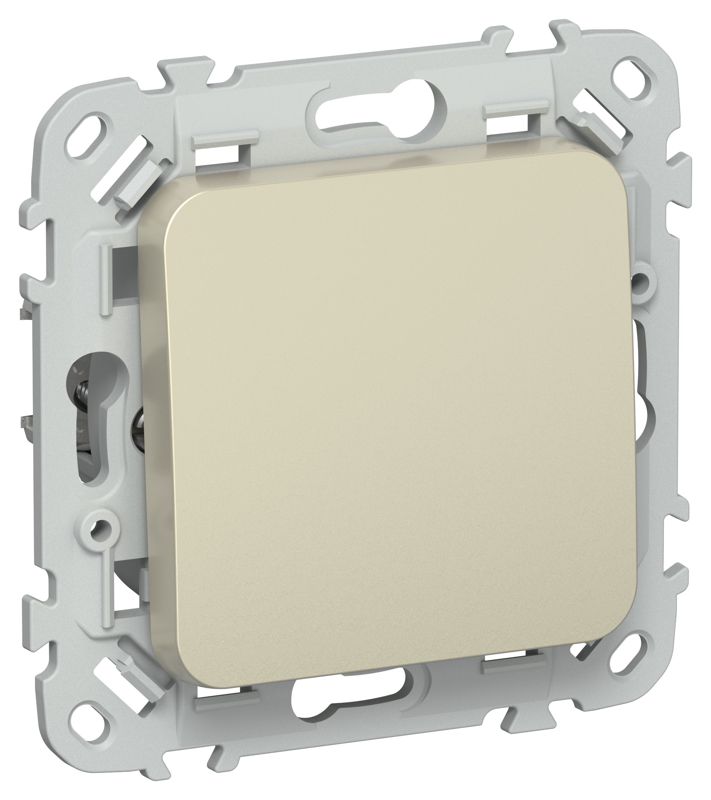 выключатель кнопочный проходной 1-кл. сп flite вс61-2-0-флш 10а механизм шампань iek fi-v18-0-10-1-k37 от BTSprom.by