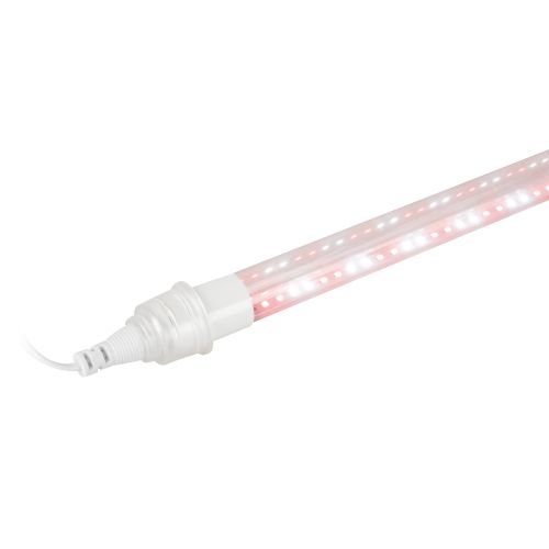 Светильник FITO-9W-Rа90-Т8+FITO-Holder IP65 2хG13 линейный для растений с выключателем 1.5м Эра Б0069516 фото в каталоге от BTSprom.by