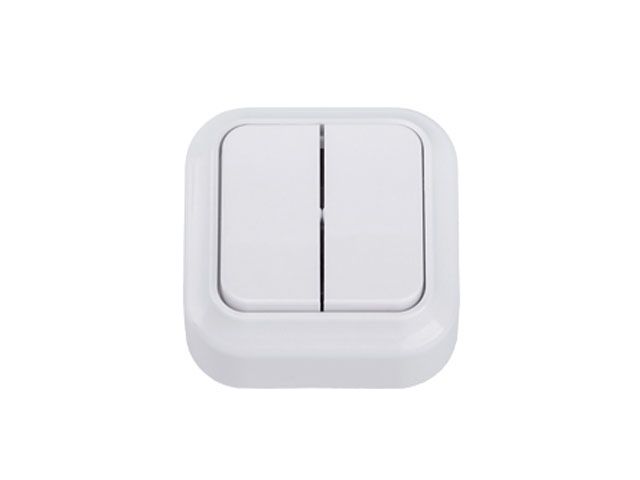 выключатель 2 клав. (открытый, до 10а) белый, вариант, bylectrica а510-2102 от BTSprom.by