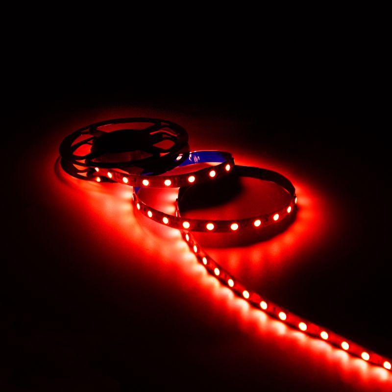  Лента светодиодная Black 2835/60-SMD 4.8Вт/м красн. IP20 210лм/м 12В (блист.5м) GAUSS 312000705 фото в каталоге от BTSprom.by