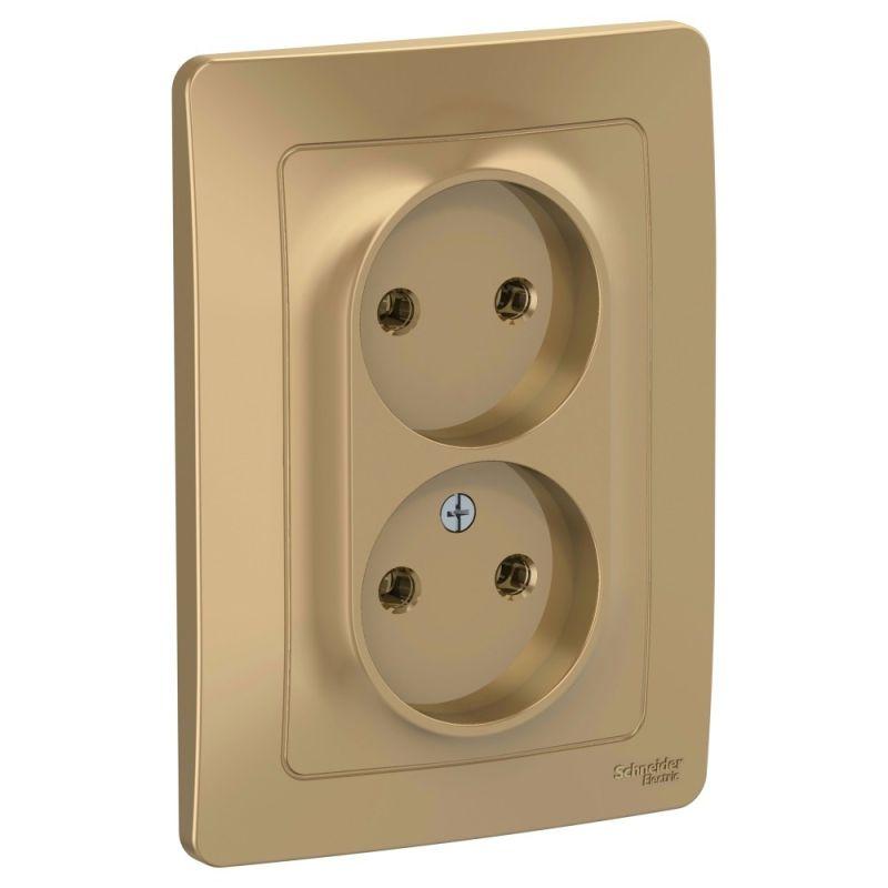 розетка 2-м сп blanca 16а ip20 250в без заземл. без защ. шторок титан se blnrs000024 от BTSprom.by