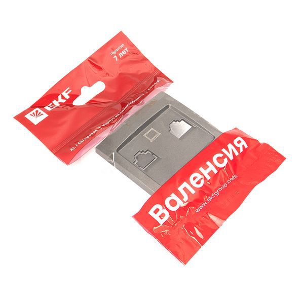  Панель лицевая Валенсия для розетки 2-м RJ-45 графит PROxima EKF ESK02-L-035-60 фото в каталоге от BTSprom.by