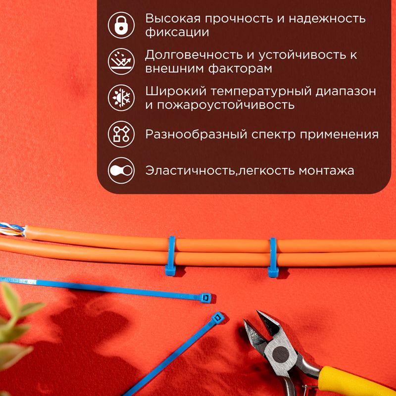 хомут кабельный 2.5х100 нейл. син. (уп.25шт) rexant 07-0105-25 от BTSprom.by