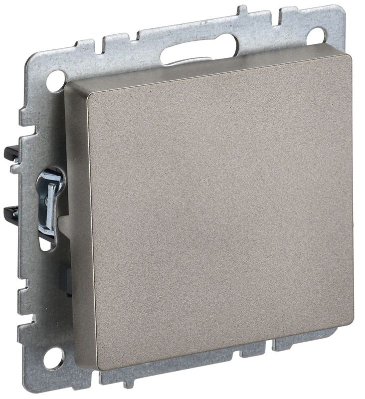 выключатель 1-кл. сп brite вс10-1-4-брш 10а самовозвратн. механизм шампань iek br-v14-0-10-k37 от BTSprom.by