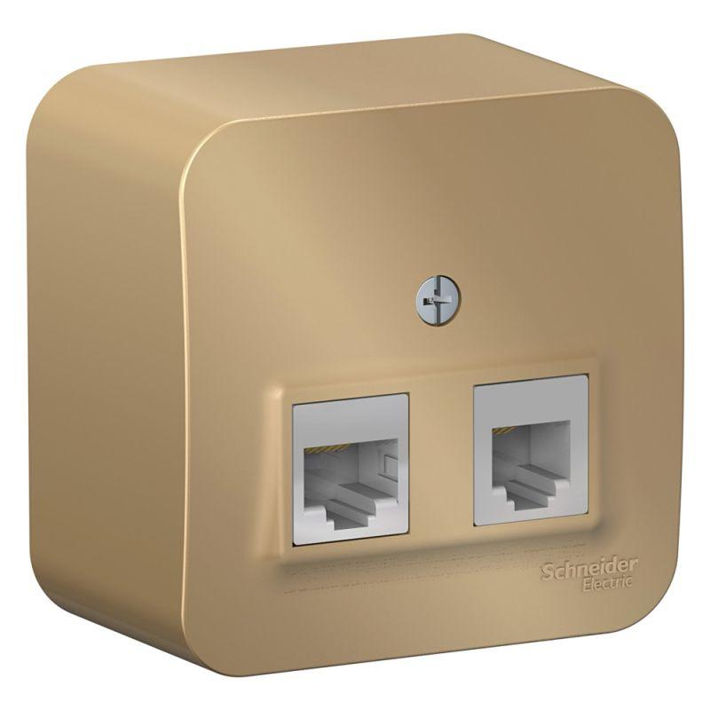 розетка компьютерная + телефонная 2-м оп blanca rj45 кат.5e + rj11 с изолир. пластиной титан se blnia045114 от BTSprom.by