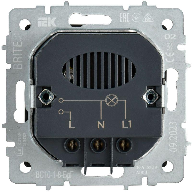  Выключатель карточный BRITE 30А ВС10-1-8-БрГ механизм графит IEK BR-V11-0-10-K53 фото в каталоге от BTSprom.by