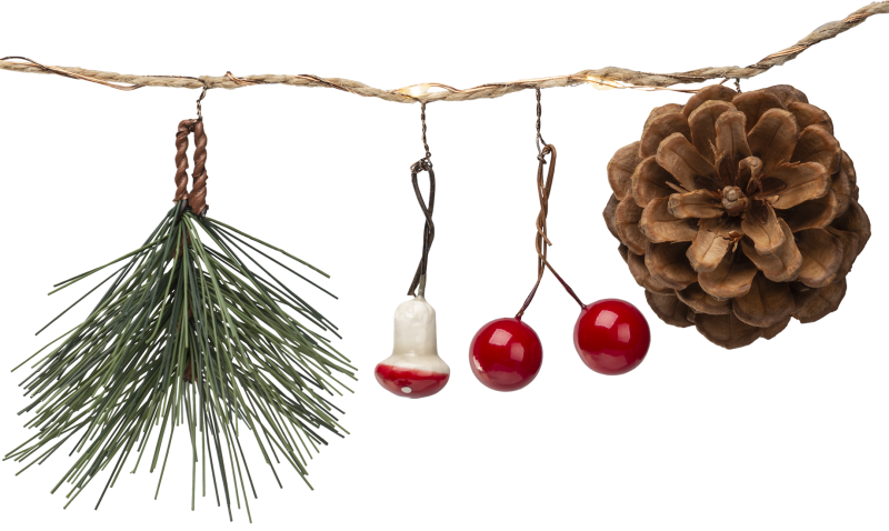  Гирлянда светодиодная "Шишки" 93 674 NGF-D024-01 2AA Navigator 93674 фото в каталоге от BTSprom.by