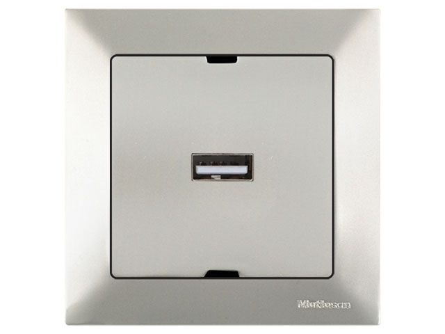 розетка 1-ая usb (скрытая) титан, daria, mutlusan 2120 448 0183 от BTSprom.by