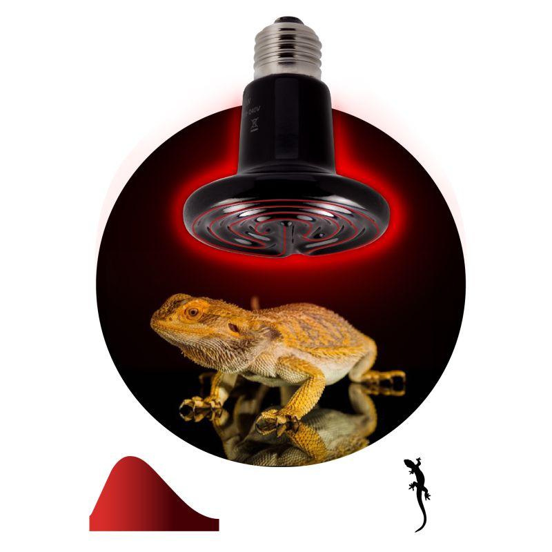 излучатель тепловой (лампа инфракрасная) fito-100w-нq ceramiheat rx 100вт e27 для брудера/рептилий керамическая (не дает света) эра б0052715 от BTSprom.by