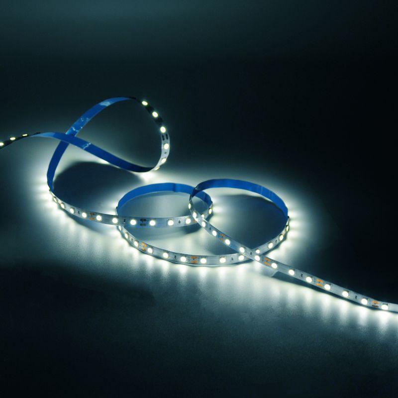  Лента светодиодная Basic 5050/60-SMD 8Вт/м 4000К нейтр. бел. IP20 900лм/м 12В 10мм (уп.2м) GAUSS BT021 фото в каталоге от BTSprom.by