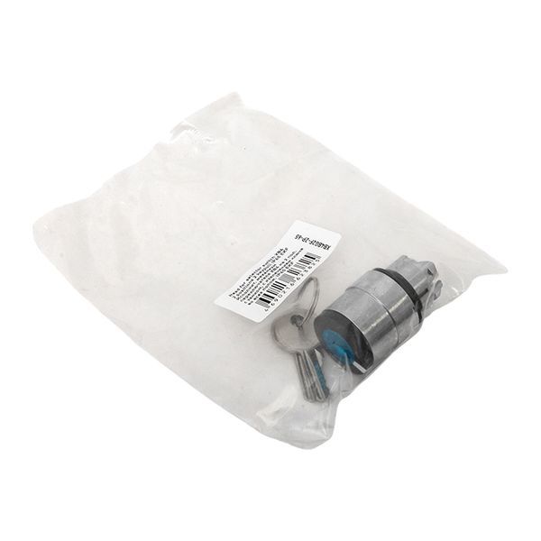  Механизм переключателя исполнительный XB4 IP65 на 2 положения с замком с извлечением ключа во всех положениях EKF XB4BG2F-2P-65 фото в каталоге от BTSprom.by