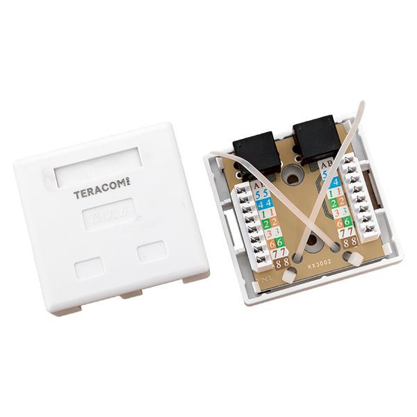  Розетка настенная TERACOM PRO кат.6 неэкранированная 2 порта RJ-45 Dual IDC бел. EKF TRP-WBOX-2RJ45-6UTP-WH фото в каталоге от BTSprom.by