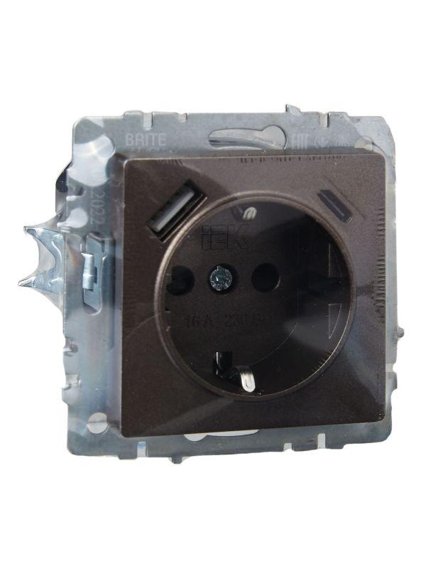  Розетка BRITE РЮш11-1-БрТБ 16А с USB A+C 18Вт с заземл. защ. шторки темн. механизм бронза IEK BR-R14-16-U22-018-K45 фото в каталоге от BTSprom.by