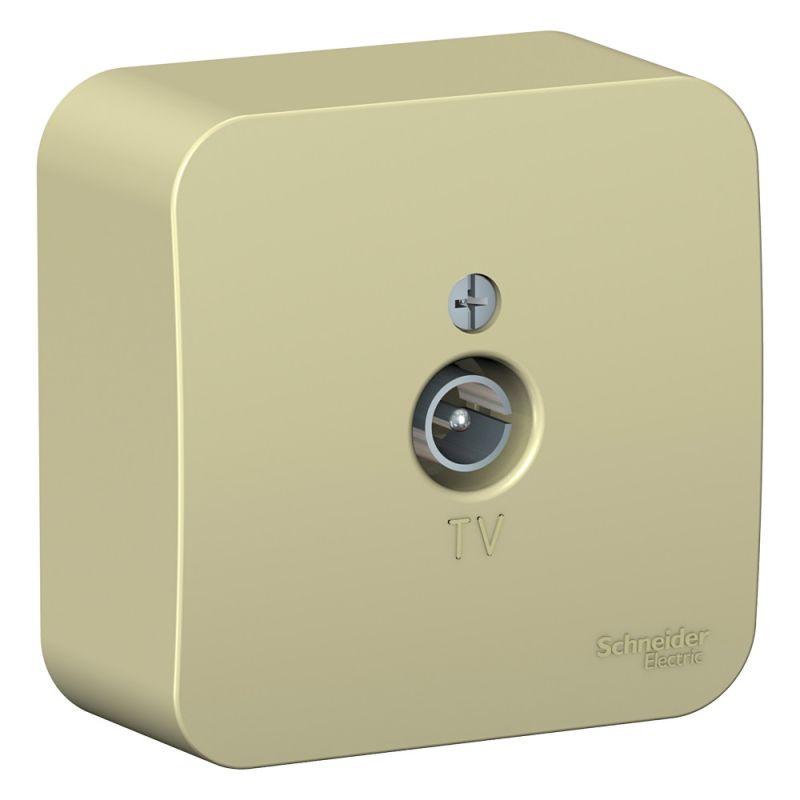 розетка телевизионная tv оп blanca коннектор с изолир. пластиной беж. se blnta000017 от BTSprom.by