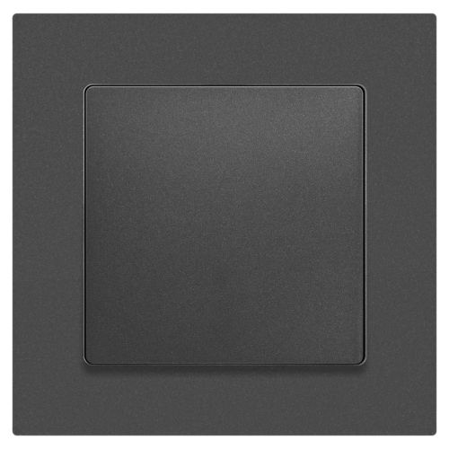  Кнопка Accent 6-109-07 10А-250В IP20 СУ графит Intro Б0063617 фото в каталоге от BTSprom.by