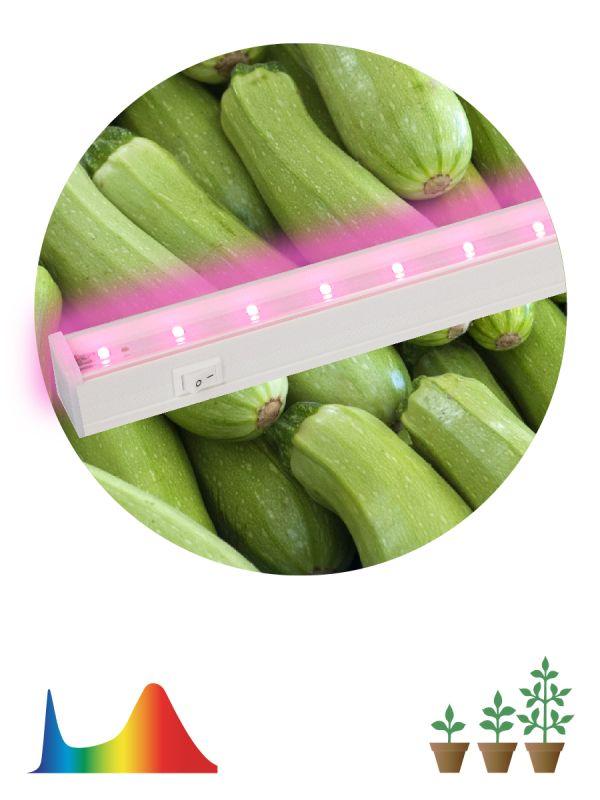 светильник светодиодный lled-05-t5-fito-9w-w линейный фито эра б0028199 от BTSprom.by